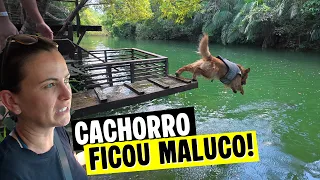 NÃO SEI SE ISSO ERA PERMITIDO em BONITO MS! MAS o PET CURTIU! - BOSQUE DAS ÁGUAS