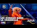 Download Lagu Ami - Les oiseaux dans la charmille (Offenbach: Les contes d'Hoffmann) | ARIA