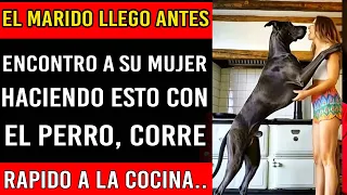 Descubre porque su esposa prefiere al PERRO, al llegar antes a casa ocurrio lo inesperado