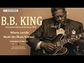 B.B. King | Raw Blues Classics (Live at Regal 1964) • Where Lucille Sang the Blues Forever (Tribute)