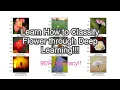 Tutorial 10 Flower Classification with Deep Neural Network with Tensorflow and Python Programming
