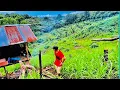 Lagu Go on an adventure and overnight camping in the field