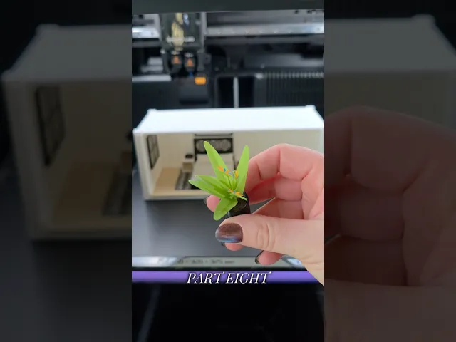 Blooming Bird of Paradise Plant - 1:24 Scale Miniature video thumbnail