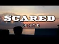 Download Lagu Bushy B - Scared (Songtekst)