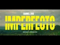 Gabriel EMC - Imperfecto (Visualizer)