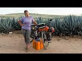 Download Lagu ENCONTRAMOS dos PERRITOS ABANDONADOS y PASA ESTO. Jalisco, México