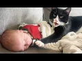 Download Lagu Als kat een kleine bewaker is, beschermt hij je baby terwijl hij groeit 😻