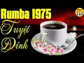 Download Lagu Nhạc Phòng Trà Thư Giãn | Hoà Tấu Guitar Rumba Không Lời | Nhạc Quán Cafe Nhẹ Nhàng Thư Giãn