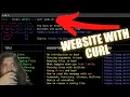 Website Rendered in the Terminal with curl ascii and ansi colors