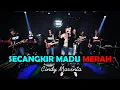 Download Lagu SECANGKIR MADU MERAH CINDY MARENTA - OM KOPLO TIME (Official Live Music)