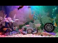Lagu Akuarium Dengan Gemericik Air yang menenangkan