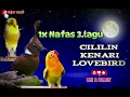 Download Lagu 1x NAFAS 3.LAGU📍 Cililin - Kenari - Lovebird