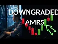 Is AMRS Overvalued or Undervalued Expert Stock Analysis Predictions for Tue - Find Out Now