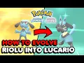 How To Evolve Riolu Into Lucario In Pokemon Brilliant Diamond Pokemon Shining Pearl