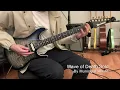 Municipal Waste - Wave Of Death Solo Cover