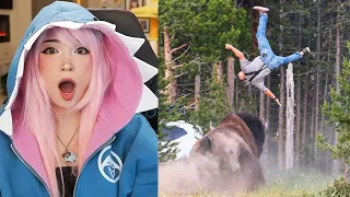 Emiru Reacts to When People Get Too Close To Animals by DailyDoseOfInternet