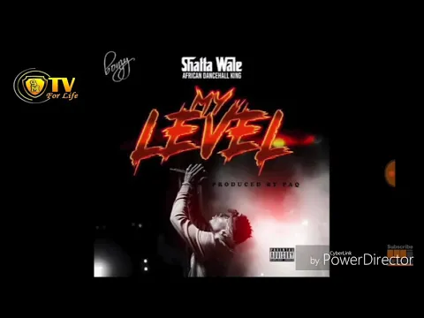 Download MP3 Shatta wale my level ( official music video )