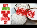 Homemade Weed Killer Better Than Round-Up Safe For Pets