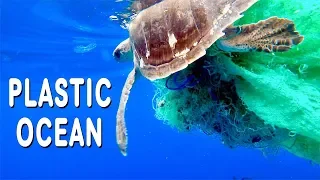 TURTLE RESCUE AT SEA & PLASTIC POLLUTION [Side Adventure #11]