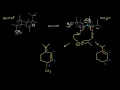 E2 Elimination substituted cyclohexanes