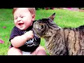 Download Lagu Cutest Babies Play With Dogs And Cats Compilation || Cool Peachy