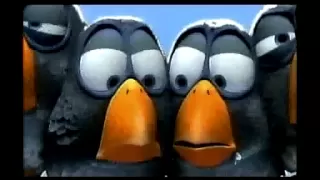 For The Birds  For The Birds