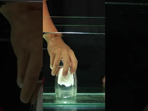 Why doesn't this paper towel get wet? 🧻🤔 #science #experiment