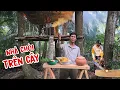 Quật đổ cây dừa hơn 20 năm tuổi để làm căn nhà chòi trên cây