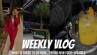 VLOG I spent a week in Florida Trying new food why is it so cold