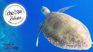 US AGAINST THE PLASTIC: July Free Plastic Challenge – Unforgettable Sailing