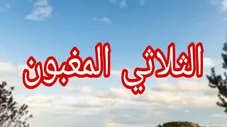 حكاية أغرب من الخيال ربي يستر 