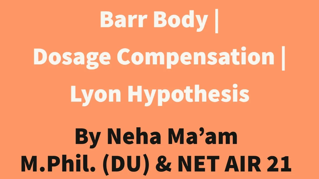 Barr Body | Dosage Compensation | Lyon Hypothesis