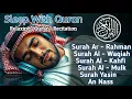 Download Lagu MUROTTAL ALQURAN MERDU PENGANTAR TIDUR, Ayat suci al quran merdu pengantar tidur | alaa aqel