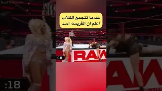 روندا راوزي بطله سماكداون بطله نساء العالم شاركو سوريا سعوديه العراق فلسطين الوطن العربي 