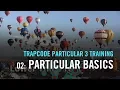 Trapcode Particular 3 Training 02 Particular Basics
