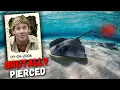 The HORRIFYING Last Moments Of Steve Irwin