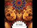 Download Lagu Kantara Psy Trance #kantara