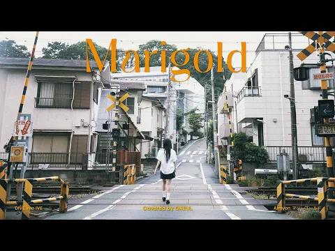 Marigoldのサムネイル