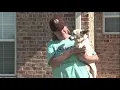Woofhaven Farm Old dogs given new lives