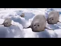 Funniest GIF