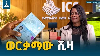 የኢትዮጵያ “ወርቃማ ቪዛ”  አገልግሎት - ሰላማዊት ዳዊት የኢሚግሬሽንና ዜግነት አገልግሎት ዋና ዳይሬክተርETV | EBC | EBCDOTSTREAM