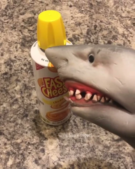 Shark Puppet eats cheese