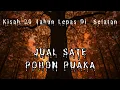 #241     MENJUAL SATE Di Pokok PUAKA (20 Tahun Lepas)