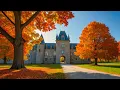 Download Lagu Classical music connects the heart and soul - Mozart, Beethoven, Bach, Chopin, Tchaikovsky #8