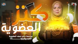 أقوى مراجعة على الهيدروكربونات نص العضوية كاملة كيمياء عضوية 3 ثانوي 