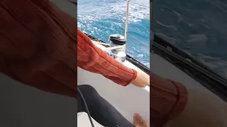 No food, living from the ocean #shorts