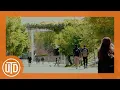 Spring Scenes at UT Dallas