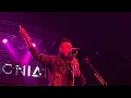 Saint Asonia - Above it All - Live in Dallas