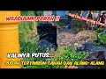 Download Lagu LAPOR KDM ‼️ Kali Ulu Cikarang Utara Hampir Punah Dari Peradaban ‼️ Tertimbun Tanah \u0026 Semak Belukar.