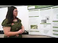 2025 STEPS Symposium Poster Presentations - Jayna Burch